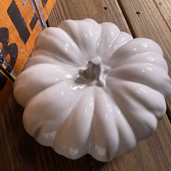 Crate&Barrel White Hand Glazed Ceramic Pumpkins - Set of Two - Medium and Small - Picture 10 of 16